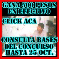 Concurso Eje 5 Poniente